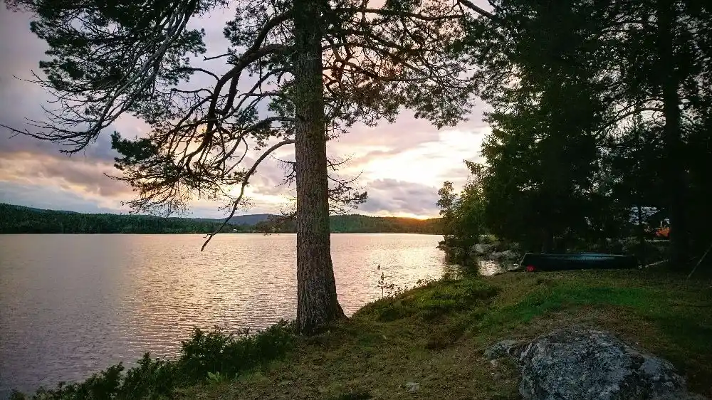 Bo prisvärt på Snibbens Vandrarhem i Höga Kusten! Prisbelönt läge vid vattnet nära Högakustenbron. Perfekt bas för vandring, bad & äventyr. Boka nu!