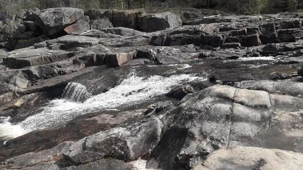 Bo prisvärt på Alfta Campings vandrarhem vid Voxnan i Hälsingland. Nära natur, fiske, bad & Alfta centrum. Kök, dusch, WC, WiFi. Perfekt för familjer!