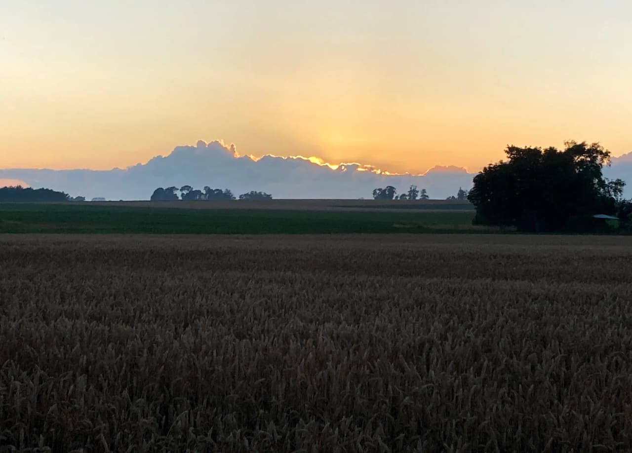 Lantligt vandrarhem i Backåkra som kombinerar naturskön omgivning med naturskön miljö och lugn atmosfär