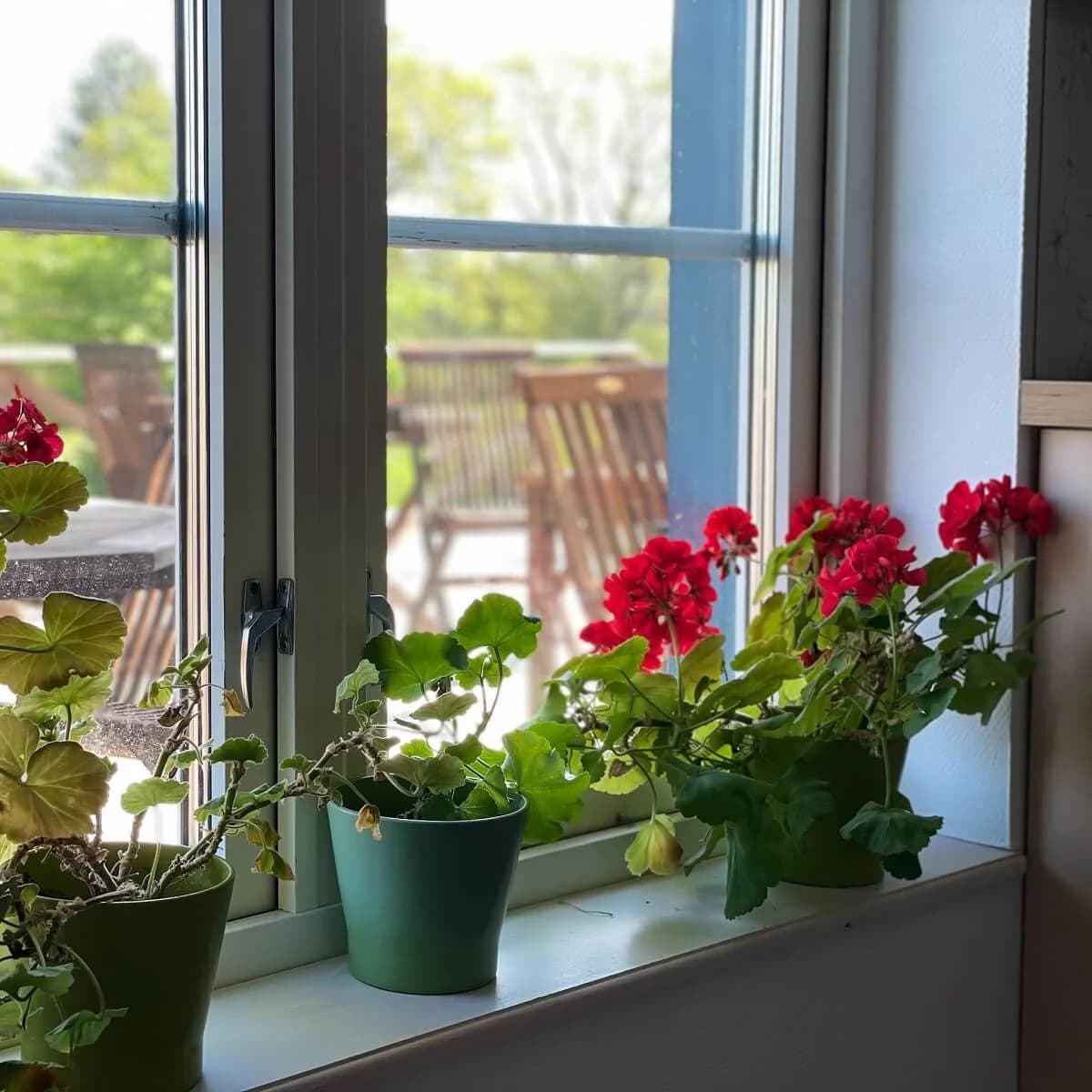 Baskemölla Vandrarhem - Bild 2