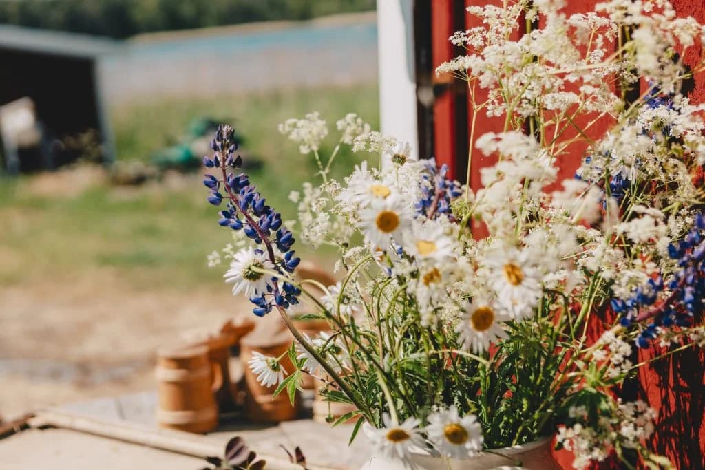 Hasselö Vandrarhem - Bild 6