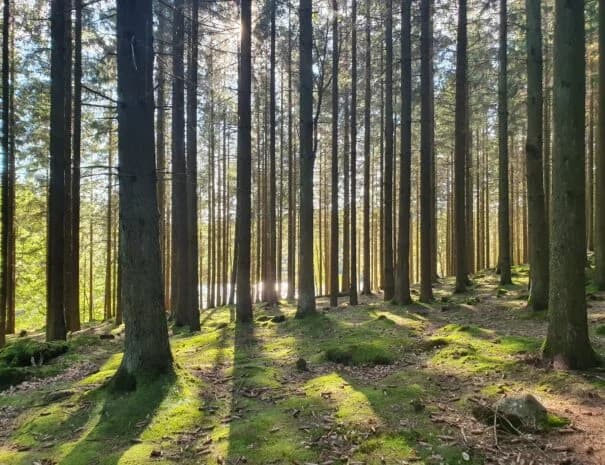 Klåveröds vandrarhem - Bild 6