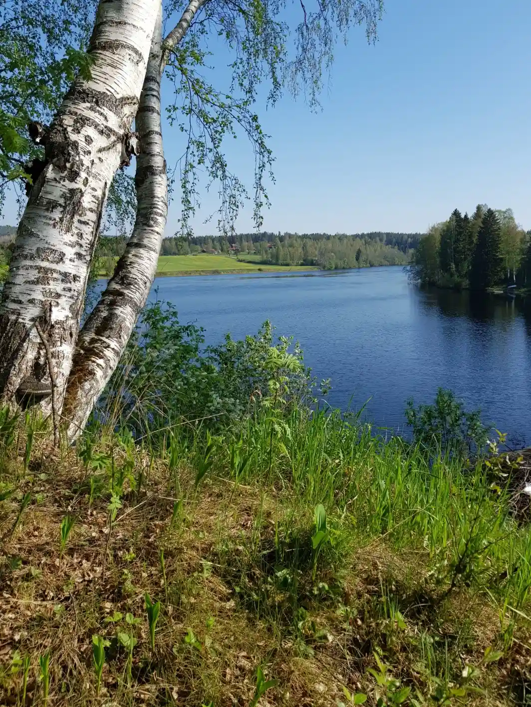 Bekvämt och genuint svenska vandrarhem i centrala Mockfjärd, traditionella Dalarna