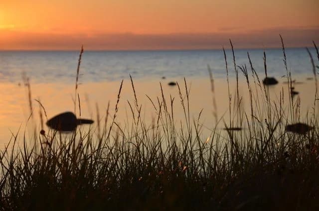 Bo vid havet nära Visby! Visby Strandby erbjuder camping, stugor & glamping. Perfekt för familjer & dig som söker vandrarhem-känsla vid Norderstrand.